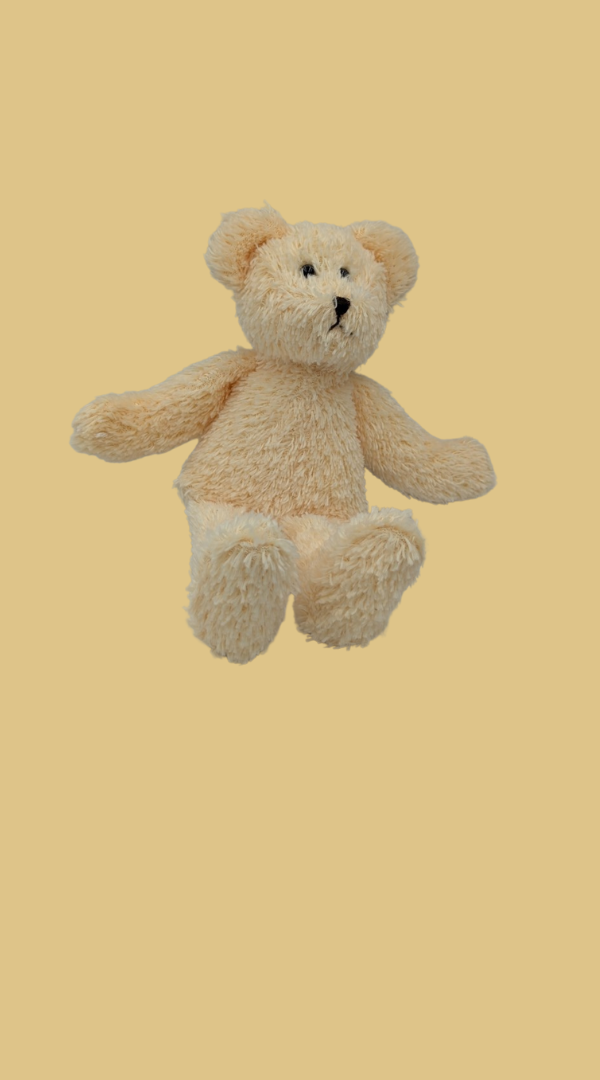 teddy bear 2